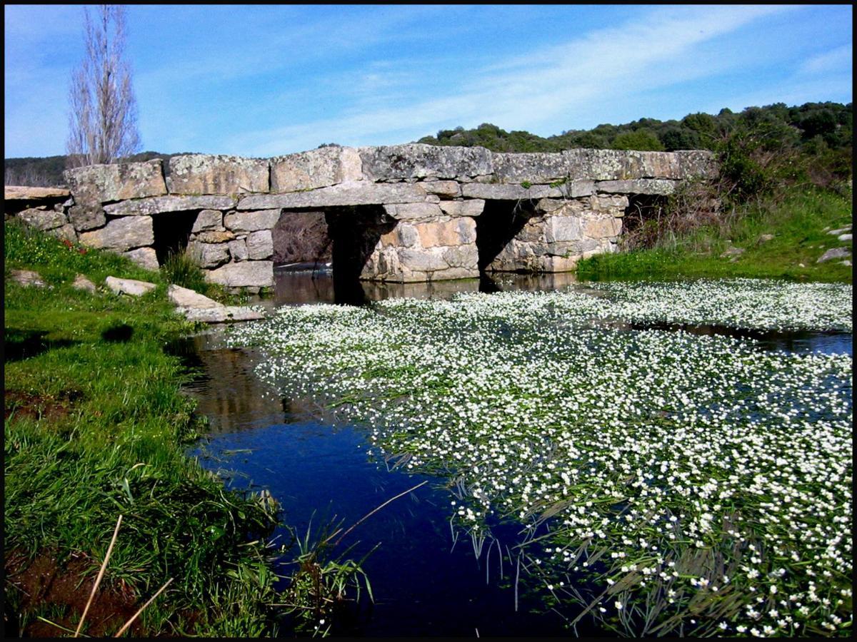 فيلا La Casita De Ra Castillo de Bayuela المظهر الخارجي الصورة